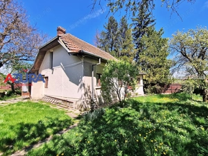 AZURA Imobiliare - Casa Merisani Varzaru DN - imagine 6