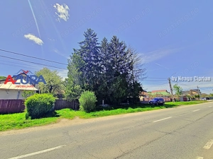 AZURA Imobiliare - Casa Merisani Varzaru DN - imagine 15