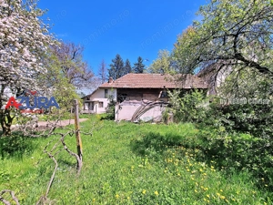 AZURA Imobiliare - Casa Merisani Varzaru DN - imagine 17