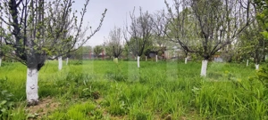  Casa Găești – Aproape de Centru, 1600 mp Teren Generos - Livada Gradina - imagine 12