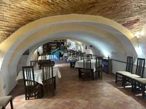 OPORTUNITATE UNICA DE INCHIRIERE | KM 0-PIATA UNIRII | SAD |RESTAURANT - imagine 10