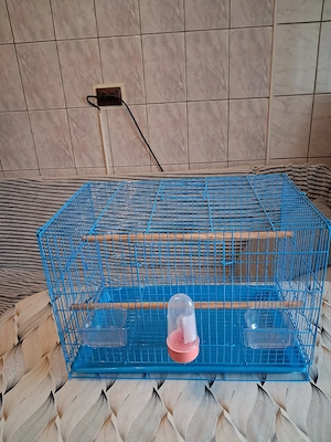 vinzare colivii canari