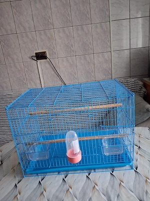 vinzare colivii canari - imagine 2