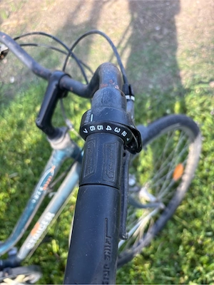 Bicicleta Staiger