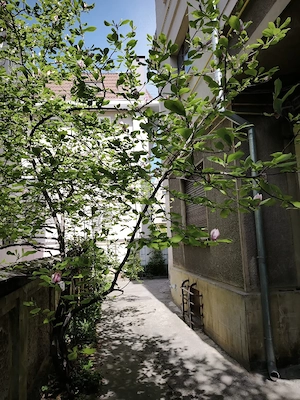 Particular, garsoniera cochetă Cotroceni, parter p+2, 27 mp - imagine 5