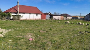 Teren intravilan de vânzare   Albesti, Constanța | 885 mp | Ideal casă sau investiție - imagine 3