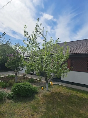 Casa de vanzare in Vorovesti (schimb+diferenta) - imagine 2