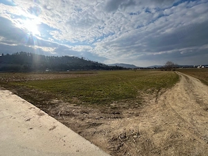 Teren Capu Câmpului intravilan 2818mp