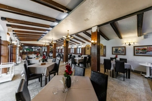 Complex HoReCa functional – 13.000 mp, venituri active, 15 km Timisoara  - imagine 19