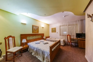 Complex HoReCa functional – 13.000 mp, venituri active, 15 km Timisoara  - imagine 15