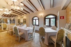 Complex HoReCa functional – 13.000 mp, venituri active, 15 km Timisoara  - imagine 20