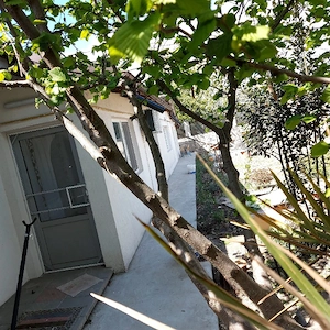 vând casă  - imagine 4