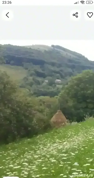 vand teren intravilan 1500m2 Salciua (valea larga) - imagine 5