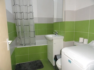 Apartament 1 camera decomandat, etaj 2, Micalaca, 44 mp, centrala pe gaz, mobilat si utilat - imagine 14