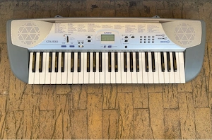 Casio CTK-230 orga electronica