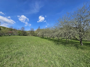 Casa Baile Govora - imagine 6