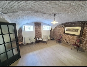 Inchiriez spatiu comercial cu zona de asteptare si baie proprie  SAD in acte  intrare din strada  - imagine 6