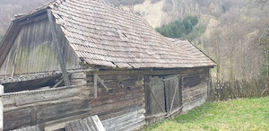 Grajd pt.animale...Gratuit.