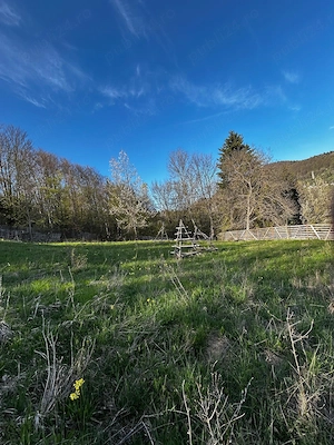 Teren de Vanzare la Valea Doftanei - Zona Peste Vale 