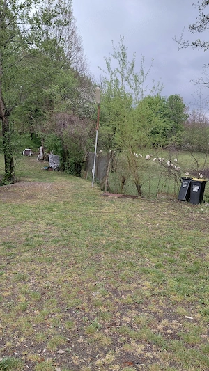 inchiriez teren  10 ari in Tautii Magheraus