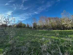 Teren de Vanzare la Valea Doftanei - Zona Peste Vale  - imagine 5