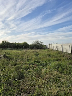 teren intravilan oradea - imagine 5