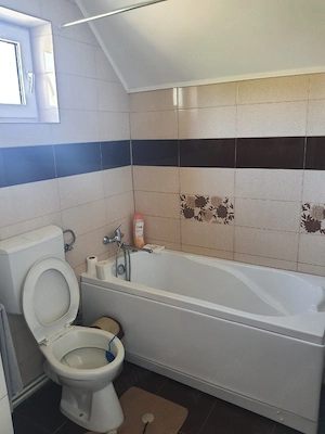 Proprietar, vand casa P+1, loc Valcele - imagine 5