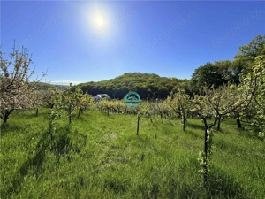 Vand teren intravilan, 2566 mp in Corunca situat intr-o zona linistita si intima - imagine 10