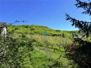 Vand teren intravilan, 2566 mp in Corunca situat intr-o zona linistita si intima - imagine 11