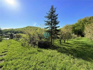 Vand teren intravilan, 2566 mp in Corunca situat intr-o zona linistita si intima - imagine 2