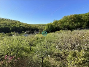 Vand teren intravilan, 2566 mp in Corunca situat intr-o zona linistita si intima - imagine 9