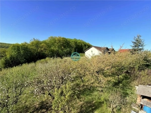 Vand teren intravilan, 2566 mp in Corunca situat intr-o zona linistita si intima - imagine 8