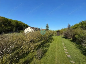 Vand teren intravilan, 2566 mp in Corunca situat intr-o zona linistita si intima - imagine 7