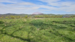 Teren 10,000mp Nemtisor / DJ 155C - imagine 9