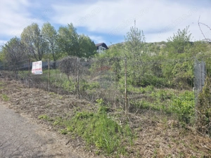 Teren 1,000mp Piatra-Neamt / Zona Fermelor - imagine 14