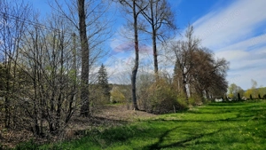 Teren 10,000mp Nemtisor / DJ 155C - imagine 4