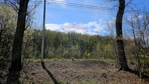 Teren 10,000mp Nemtisor / DJ 155C - imagine 5