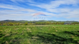 Teren 10,000mp Nemtisor / DJ 155C