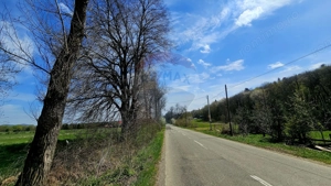 Teren 10,000mp Nemtisor / DJ 155C - imagine 10