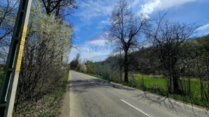 Teren 10,000mp Nemtisor / DJ 155C - imagine 6