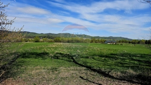 Teren 10,000mp Nemtisor / DJ 155C - imagine 3