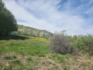 Teren 1,000mp Piatra-Neamt / Zona Fermelor - imagine 8