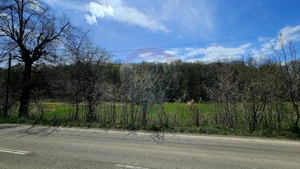 Teren 10,000mp Nemtisor / DJ 155C - imagine 8