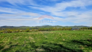 Teren 10,000mp Nemtisor / DJ 155C - imagine 2