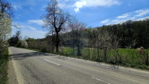 Teren 10,000mp Nemtisor / DJ 155C - imagine 11