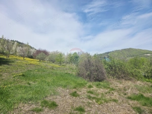 Teren 1,000mp Piatra-Neamt / Zona Fermelor - imagine 5