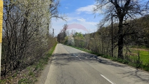 Teren 10,000mp Nemtisor / DJ 155C - imagine 13