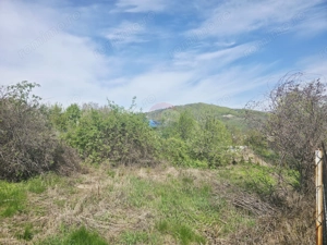Teren 1,000mp Piatra-Neamt / Zona Fermelor - imagine 10