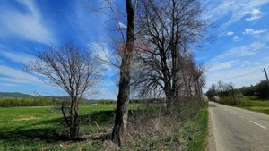 Teren 10,000mp Nemtisor / DJ 155C - imagine 12