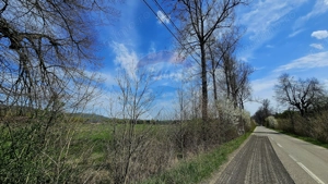 Teren 10,000mp Nemtisor / DJ 155C - imagine 14